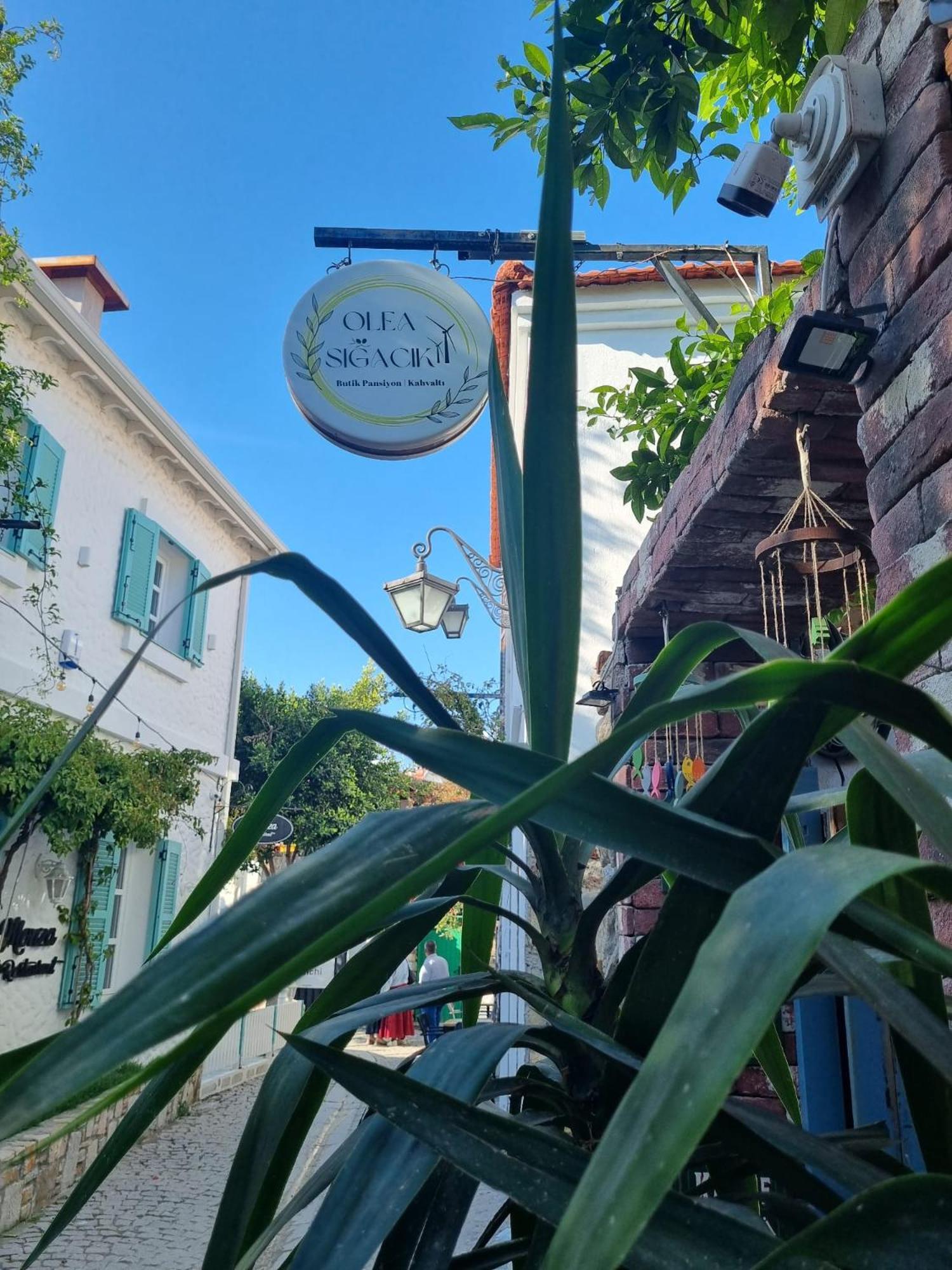Olea Sigacik Pansiyon & Bistro Seferihisar Buitenkant foto