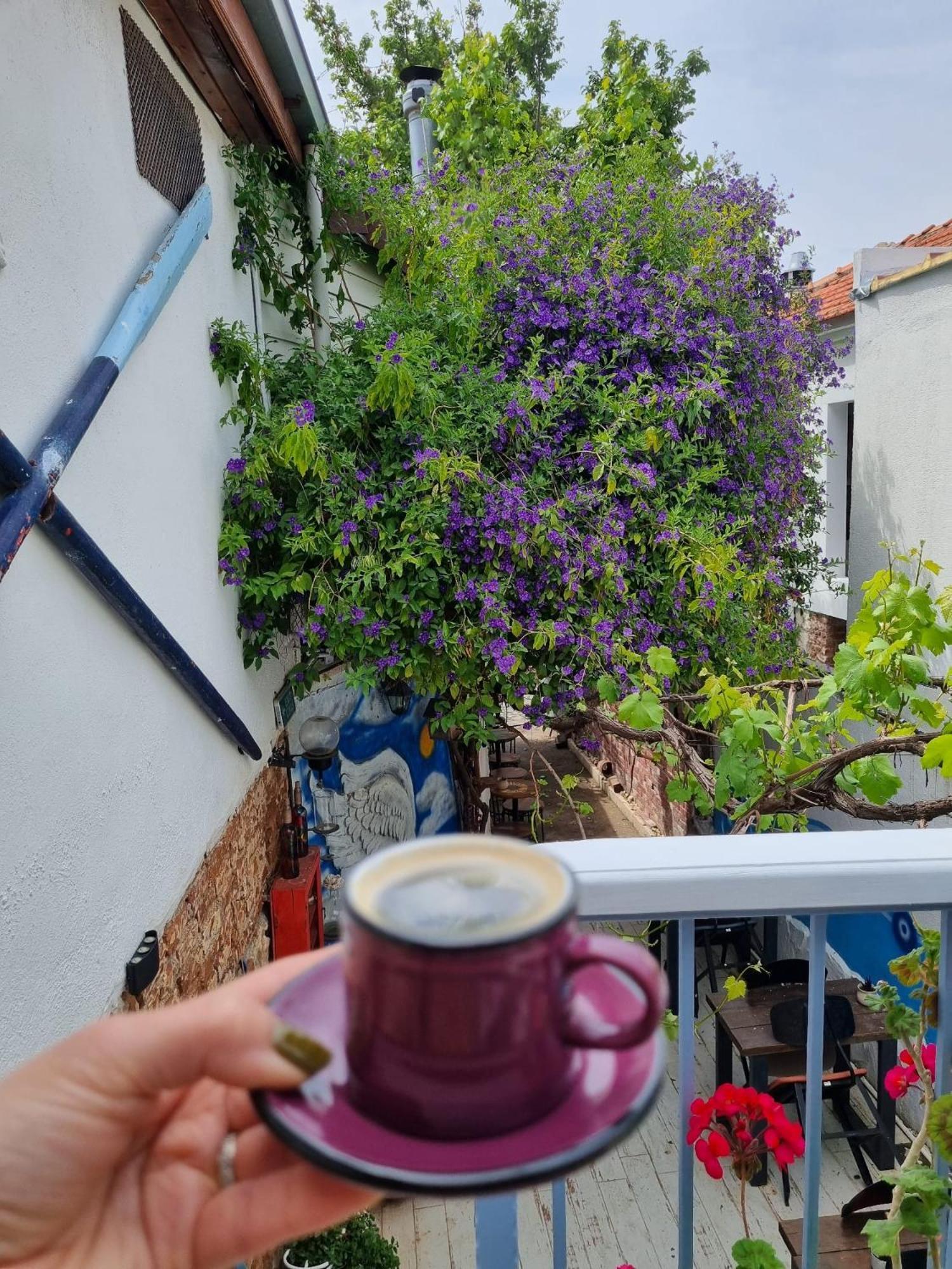Olea Sigacik Pansiyon & Bistro Seferihisar Buitenkant foto